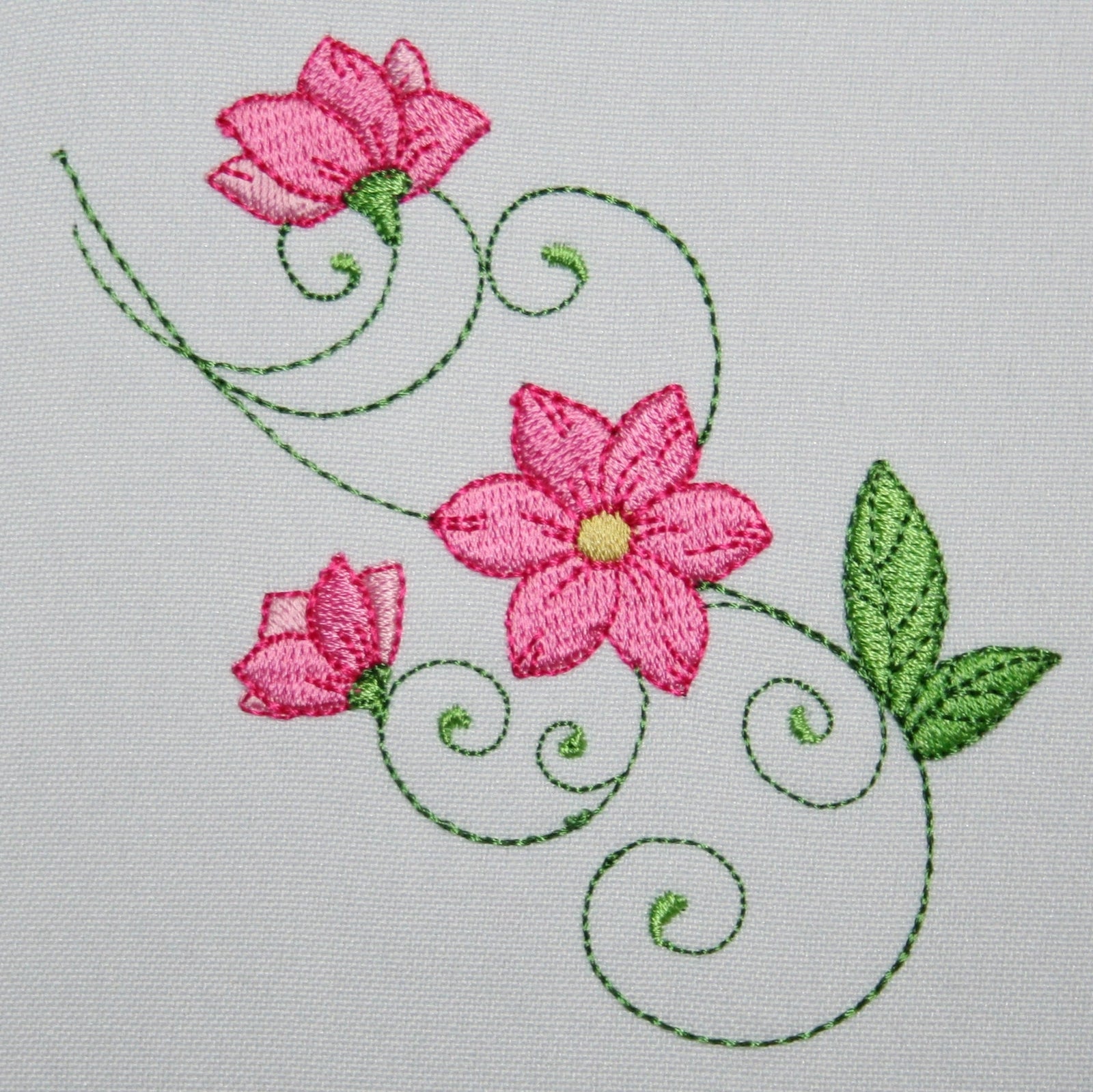 Popular Deptford Pink Flowers