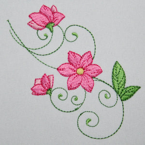 Popular Deptford Pink Flowers