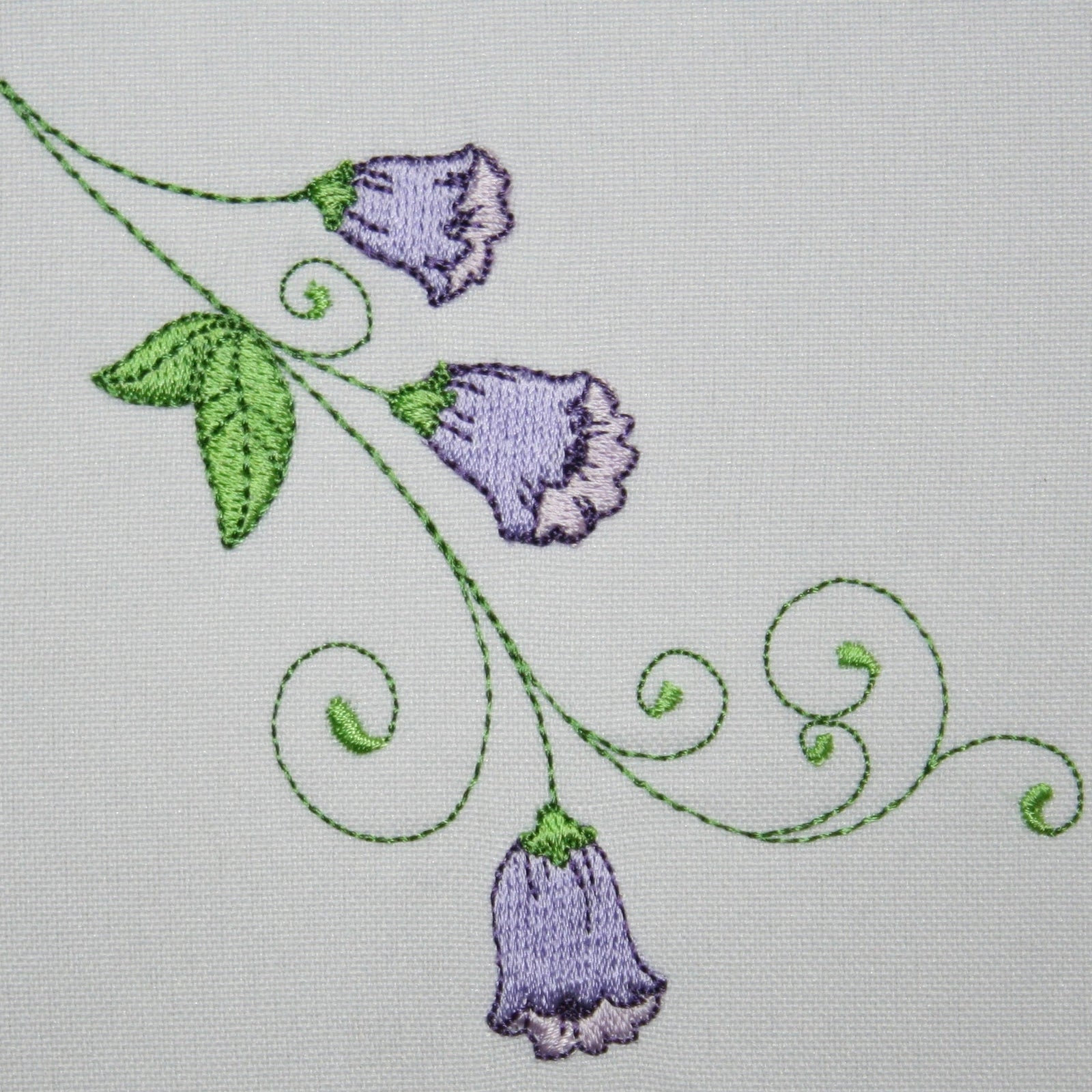 Popular Wild Bell Flowers