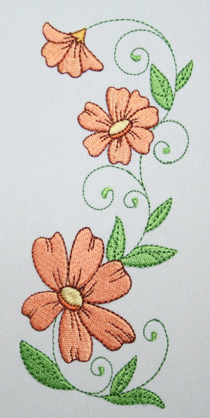 Popular Orange Cosmos