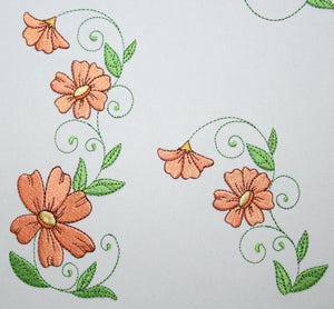 Popular Orange Cosmos