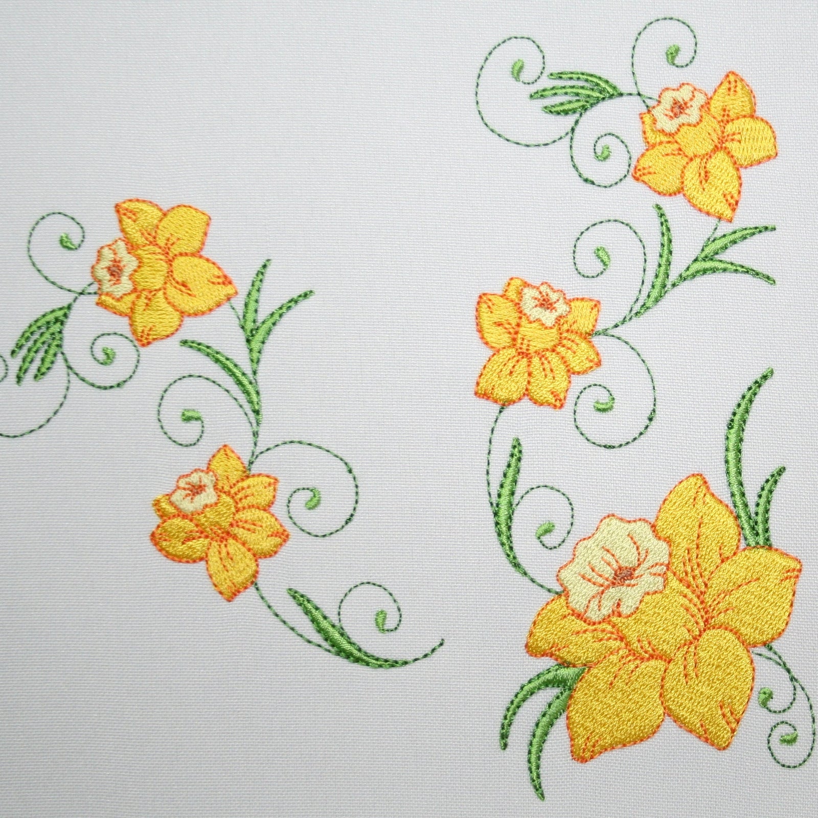 Popular Narcissus Daffodil Flowers