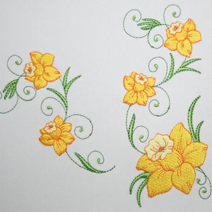 Popular Narcissus Daffodil Flowers