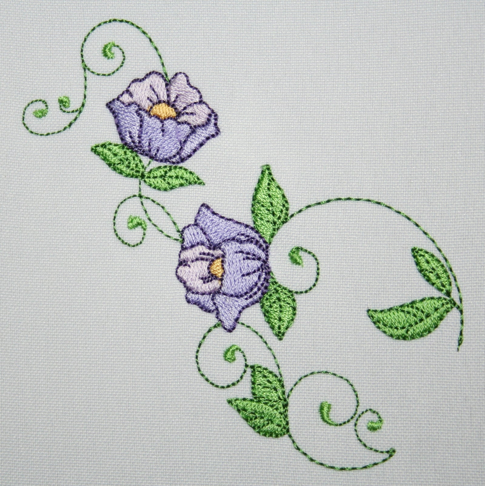 Popular Purple Poppy Flowers