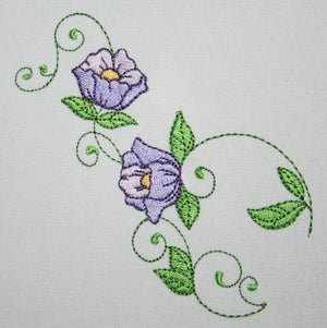 Popular Purple Poppy Flowers