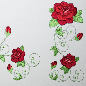Popular Climbing Roses