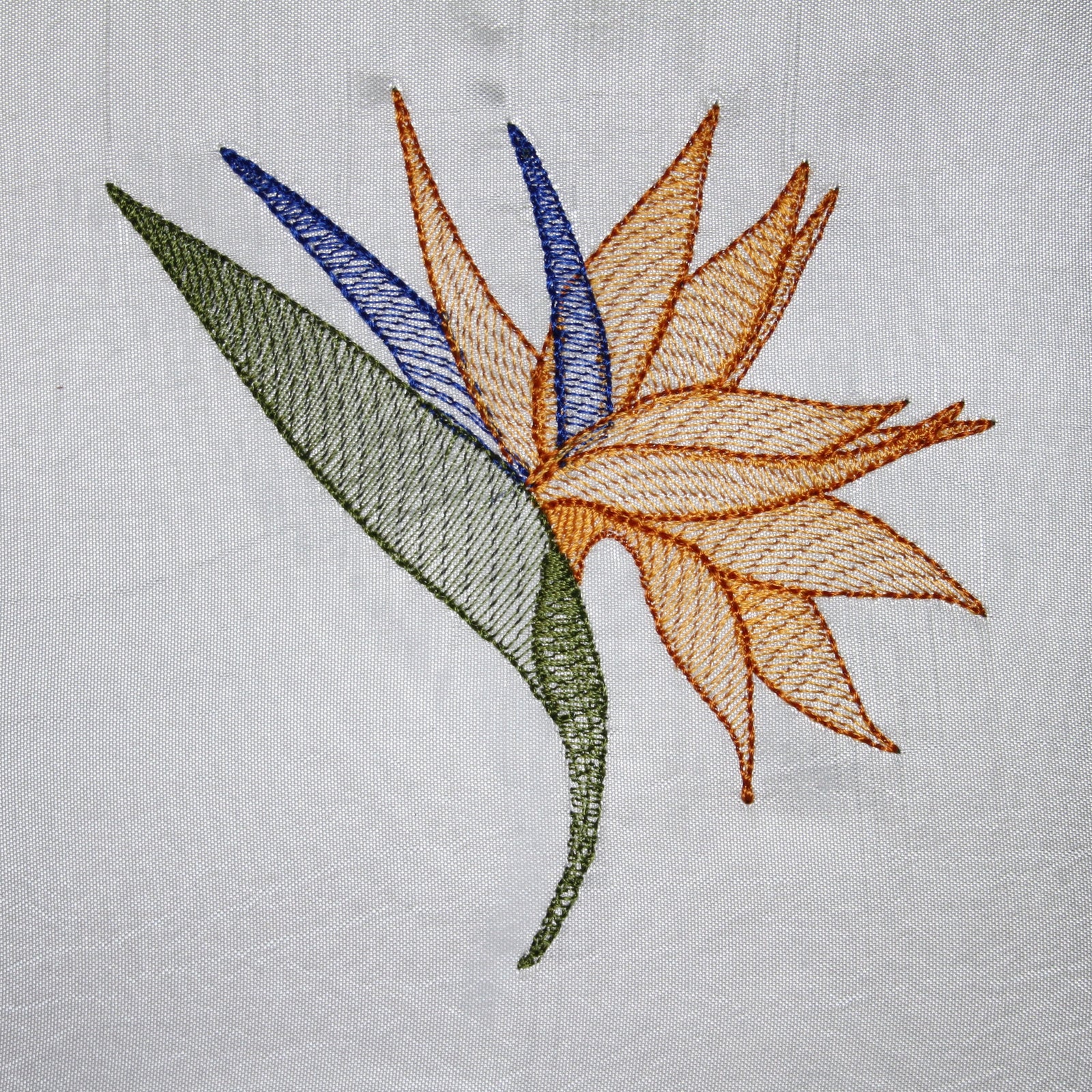 Strelitzia Flower Transparency