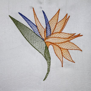 Strelitzia Flower Transparency