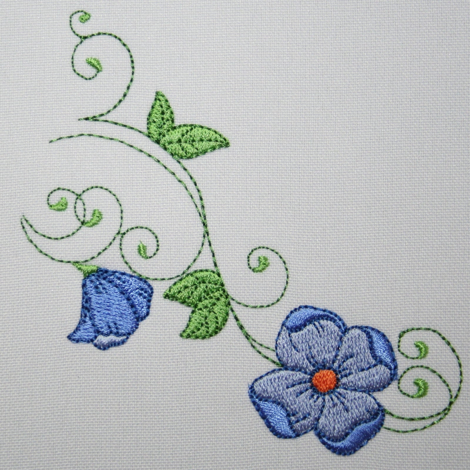 Popular Blue Germander Flowers