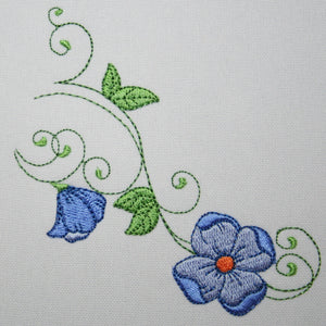 Popular Blue Germander Flowers