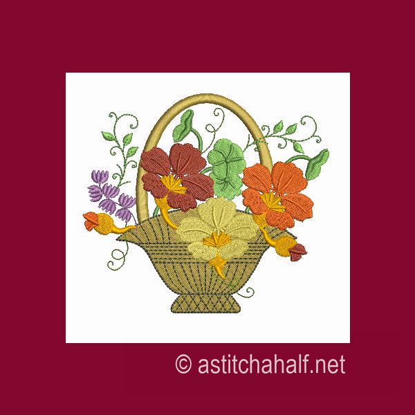 Nasturtium Nuances Combo