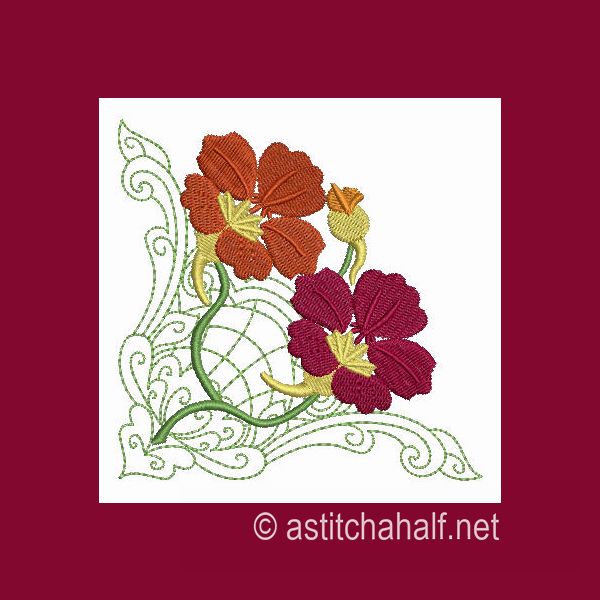 Nasturtium Nuances Combo