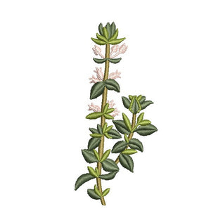 Our Herb Garden Bundle