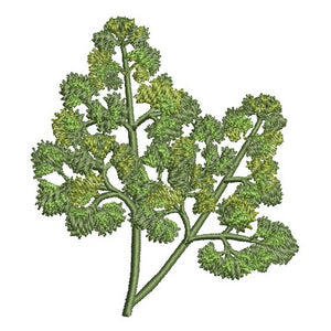 Our Herb Garden Bundle