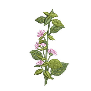 Our Herb Garden Bundle