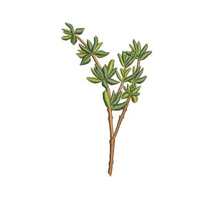 Our Herb Garden Bundle