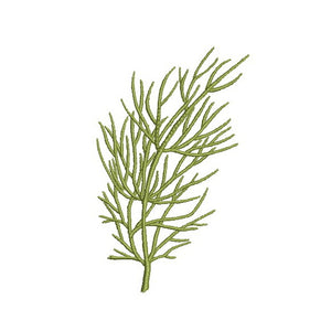 Our Herb Garden Bundle