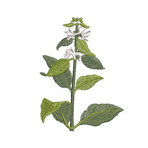 Our Herb Garden Bundle