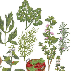 Our Herb Garden Bundle