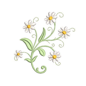 Chamomile and Lavender Bundle