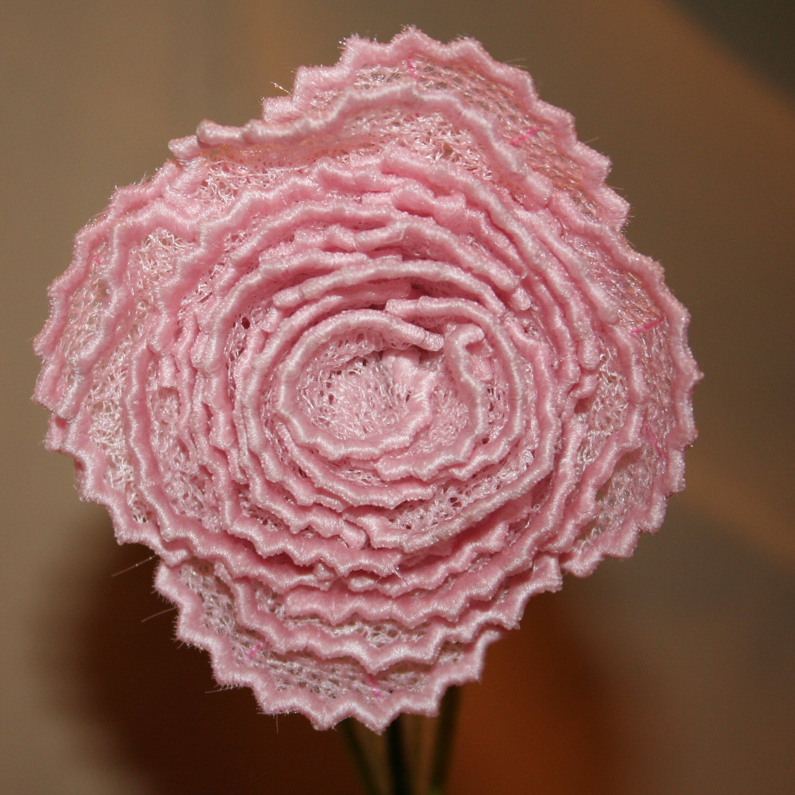 3D Carnation