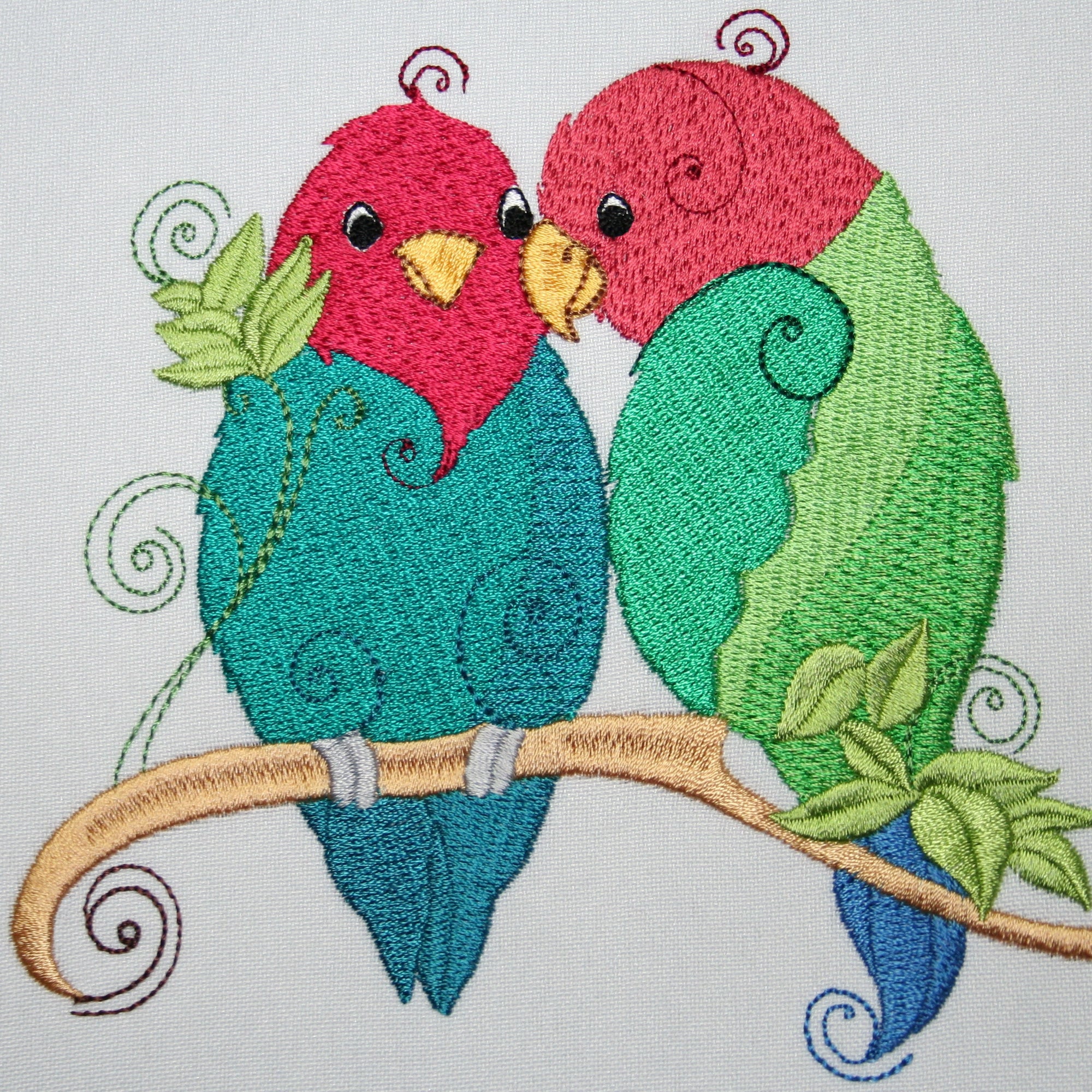 African Love Bird