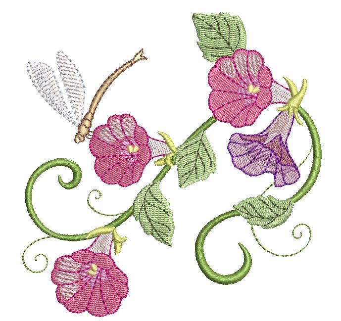 Multi Color Morning Glories and Firefly