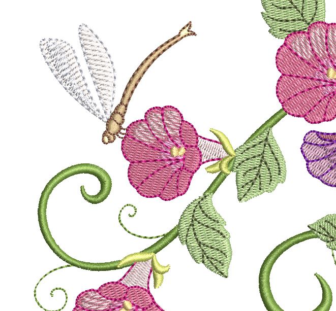 Multi Color Morning Glories and Firefly