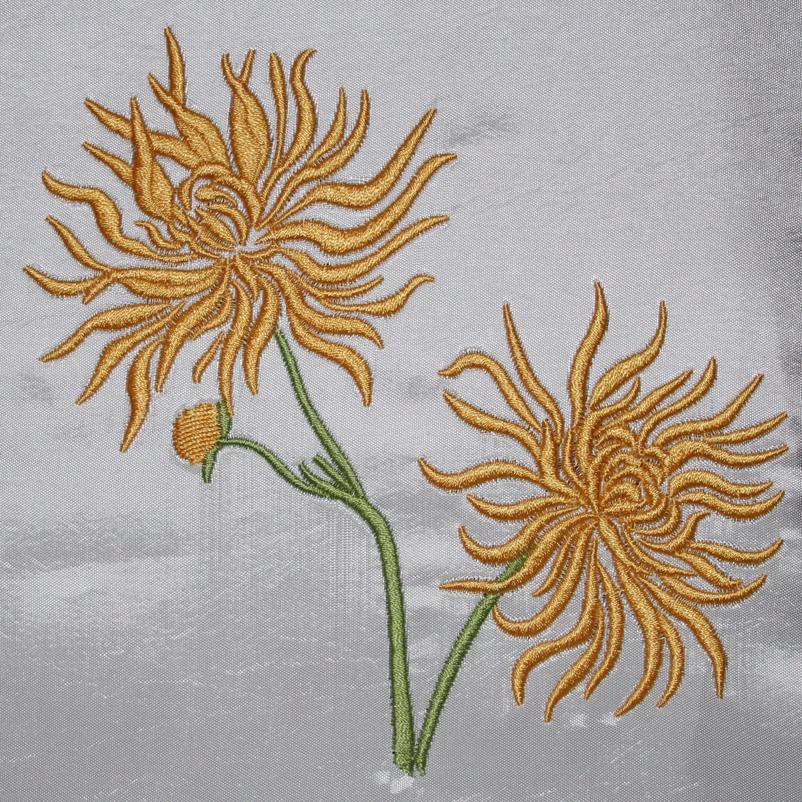 Chrysanthemum Flowers