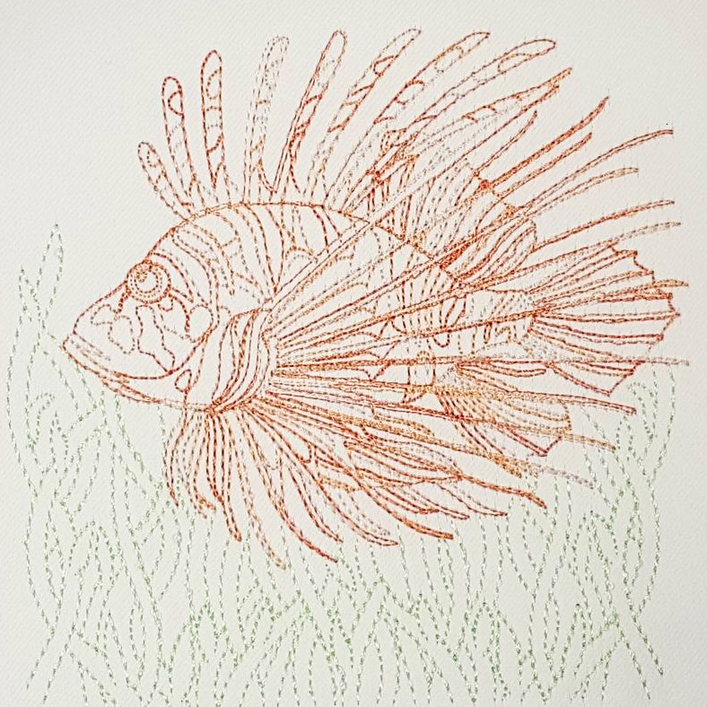 Lion Fish