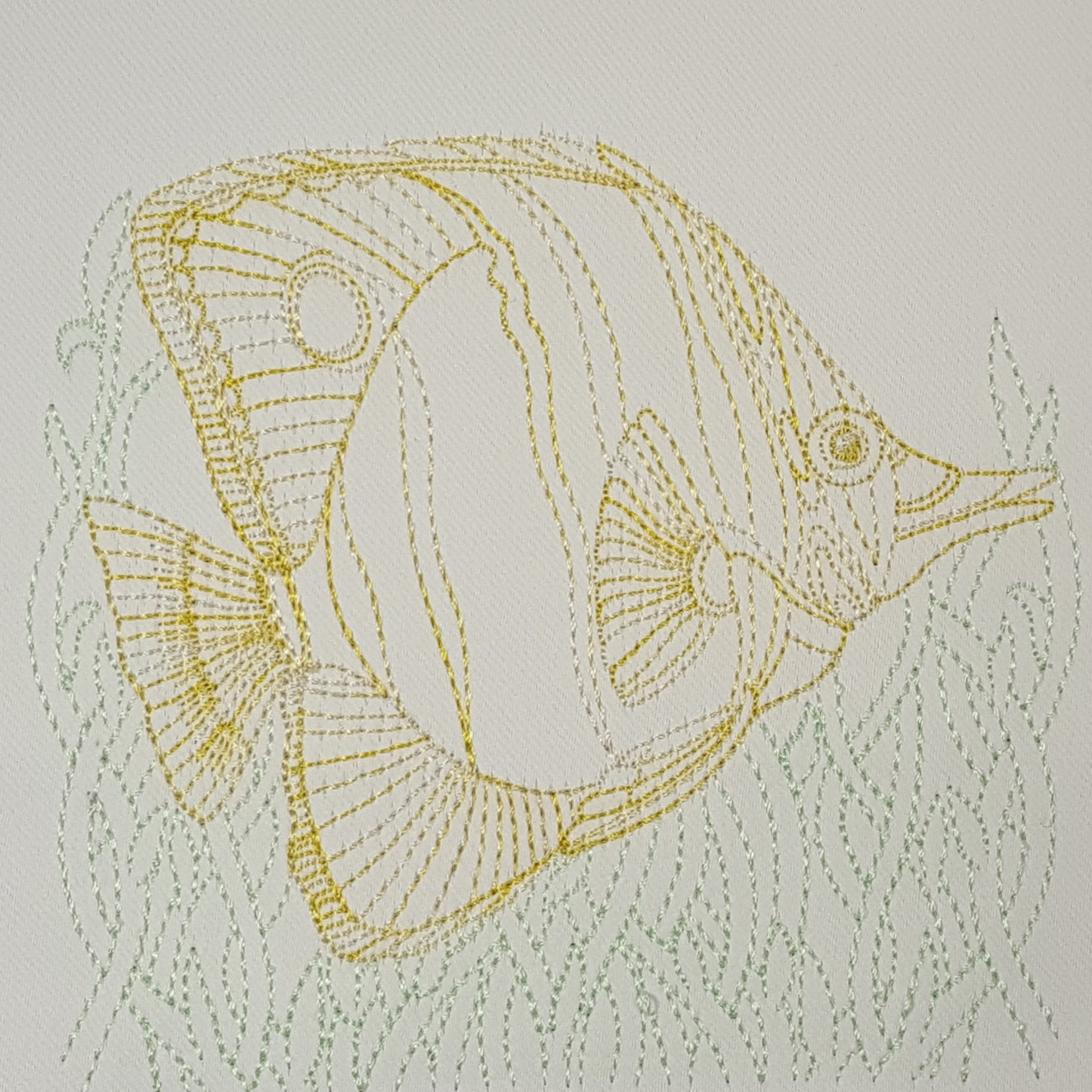 Copperband Butterfly Fish