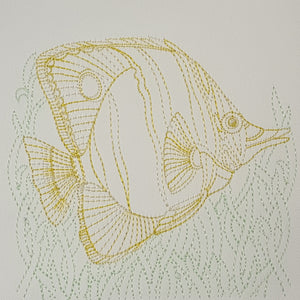 Copperband Butterfly Fish