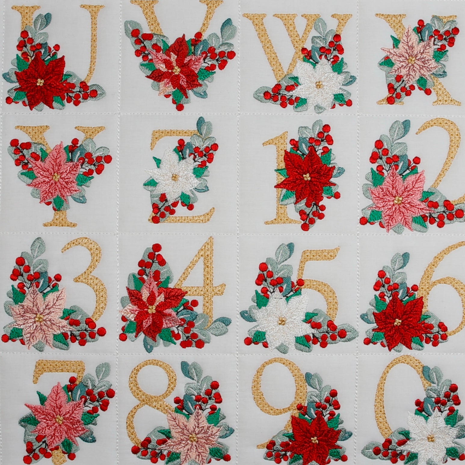 Poinsettia and Eucalyptus Monogram Combo