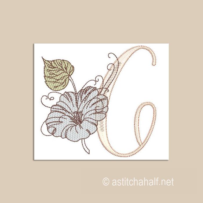 Wanderlust Monogram Letter 6