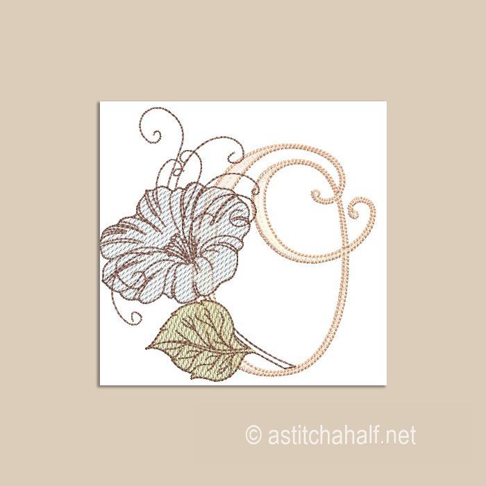 Wanderlust Monogram Letter O