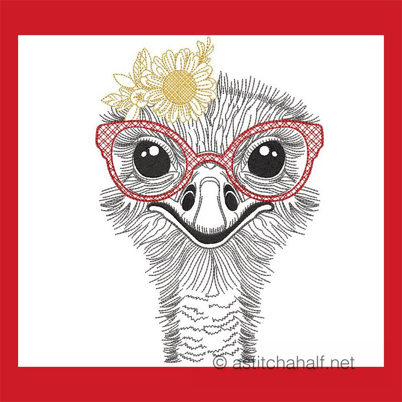 Pretty Belinda Ostrich with Glasses Combo