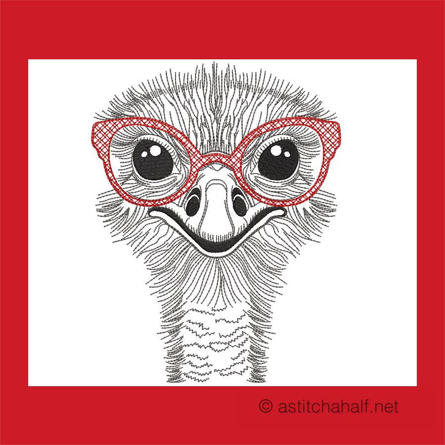 Pretty Belinda Ostrich with Glasses Combo