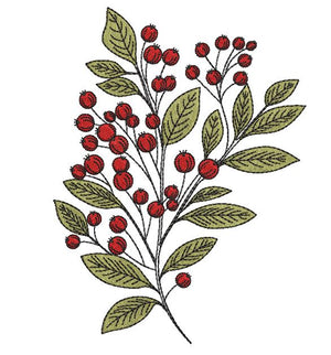 Cranberry Bliss Combo