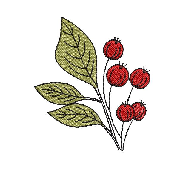 Cranberry Bliss Combo