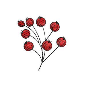 Cranberry Bliss Combo