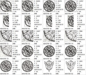 Silent Song Trapunto Variety