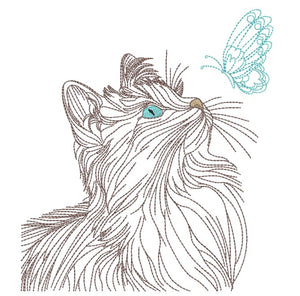 Daydream Whiskers Bundle