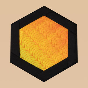 Dream Big Twisted Hexagon Quilt Bundle H