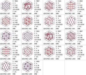 Dream Big Twisted Hexagon Quilt Bundle J