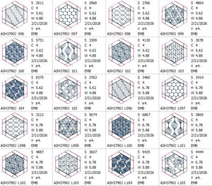 Dream Big Twisted Hexagon Quilt Bundle K