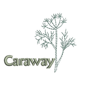 Illustration of a caraway plant with the word 'Caraway' below it on a white background