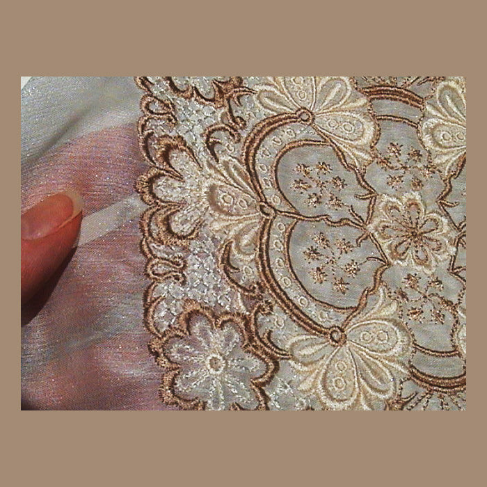 Edwardian Lace Ensemble