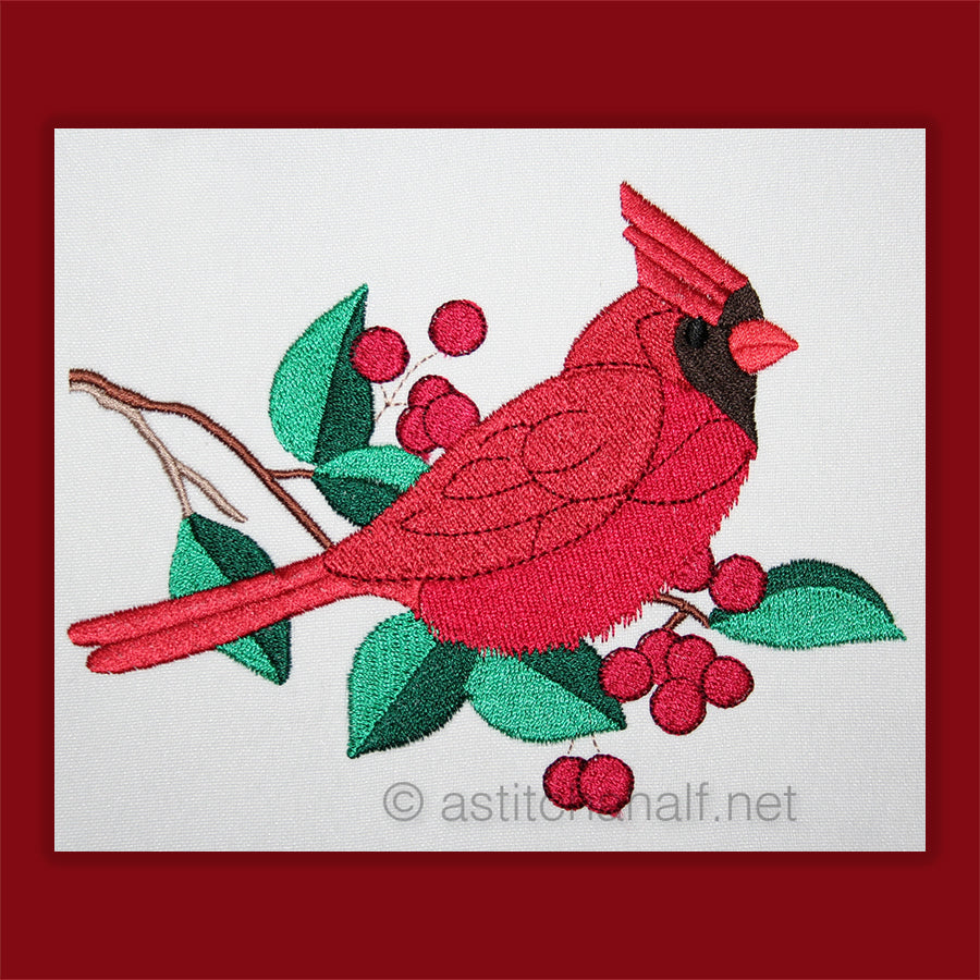 Cardinal Bird