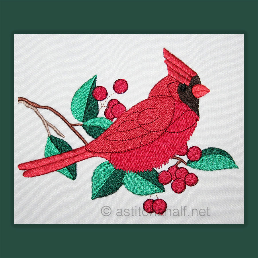 Cardinal Bird