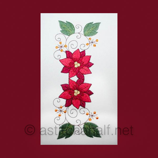 Pretty Poinsettia 01